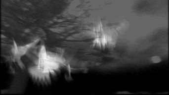Escena 1 de The Passing