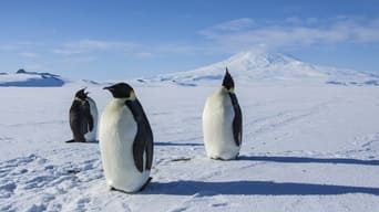 #2 Антарктида. Рік на кризі