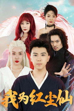 我为红尘仙 poster