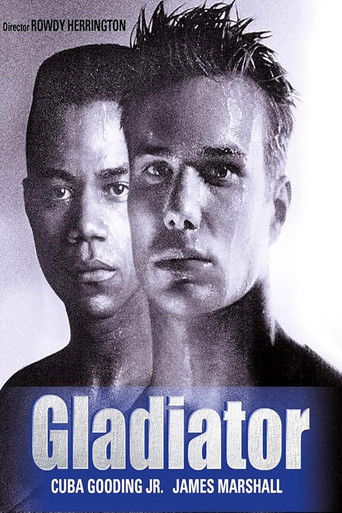 Poster de Gladiator
