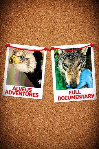 Alveus Adventures (2025)