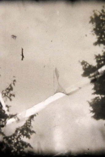 Miniature #1 e #2 poster