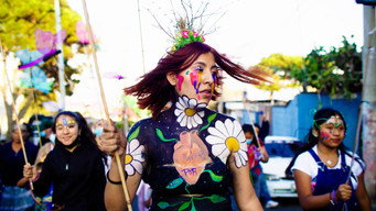 Comparsa media image