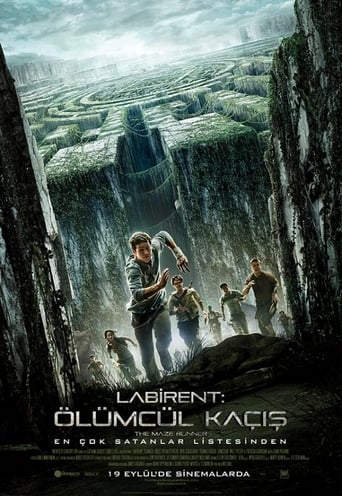 Labirent: Ölümcül Kaçış ( The Maze Runner )