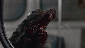 Deadly Eyes (1982)