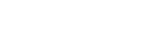 A Brief History of the Future logo