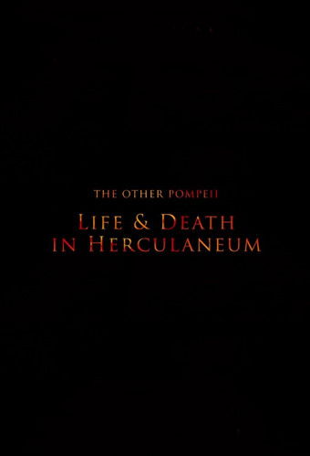 The Other Pompeii: Life & Death in Herculaneum (2013)