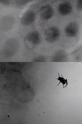 Countercurrent poster