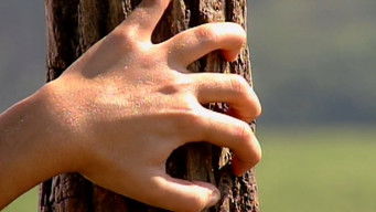 Episodio 123 — Episodio 123