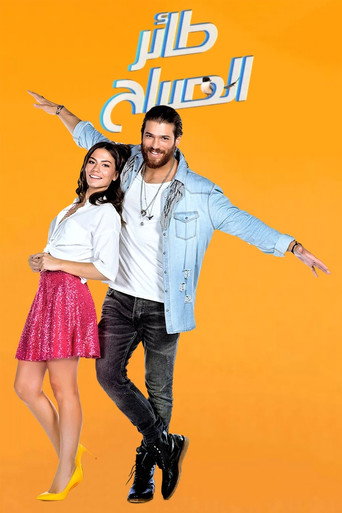 Erkenci Kuş — Posters 19