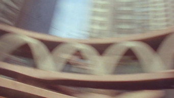 #8 Signal 8