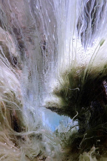 The Stream XII (2022)