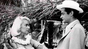 The Stowaway (1958)
