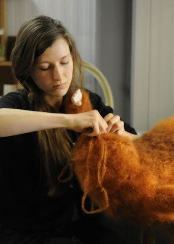 The Making of Oh Willy... poster