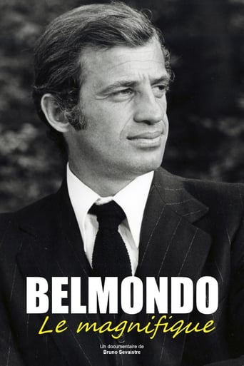 Poster of Belmondo, le magnifique