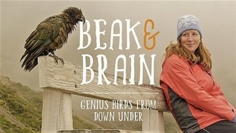 Beak & Brain - Genius Birds from Down Under (2013)
