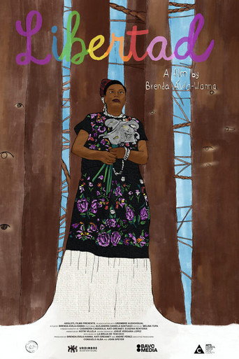 Poster film Libertad