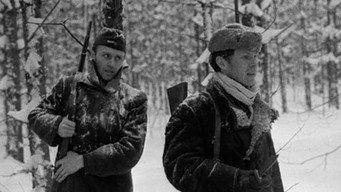 #16 Сходження