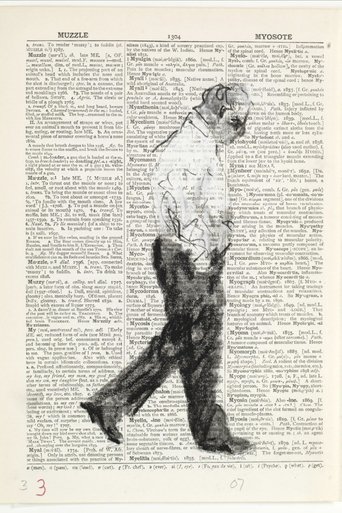 Second-hand Reading (2013)