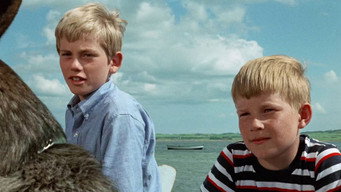Five and the Spies (1969)