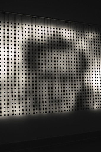 Home Movies 300-1 poster