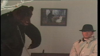 Episode 11 — Episode 11