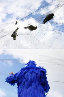 To See the Sky, Dance poster