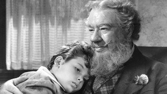 Зелені роки (1946)
