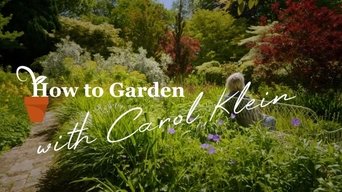 How to Garden With Carol Klein - S1E01