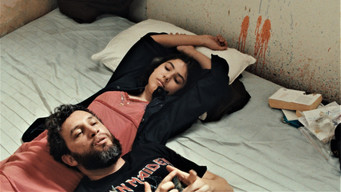 Galeria 1 - Tengo sueños eléctricos