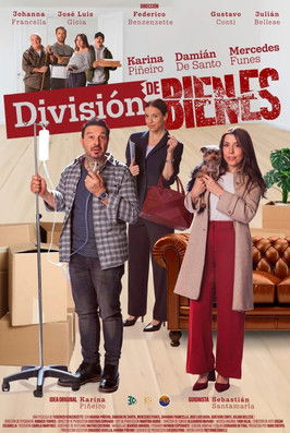 División de Bienes (2025)
