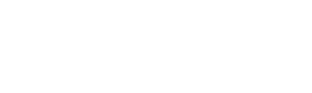 Anna X logo