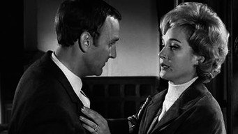 Bat Out of Hell (1966)