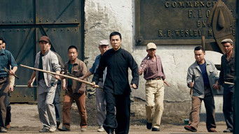 Galeria 5 - Ip Man 3