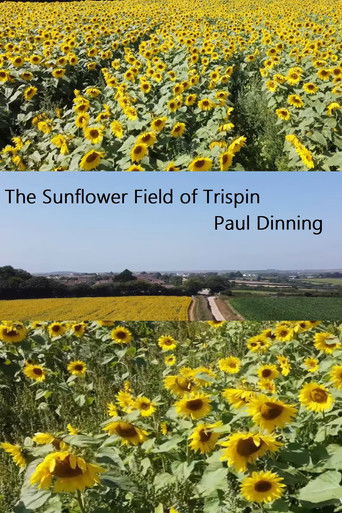 The Sunflower Field of Trispen poster