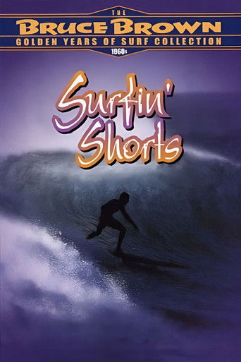 Surfin' Shorts poster 2