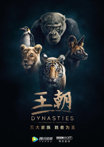 Dynasties — Posters 15
