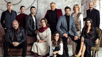 #5 Halka