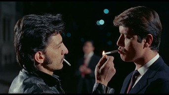 #8 The Outsiders