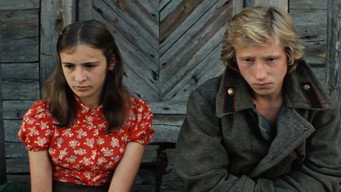#2 Горіховий хліб