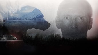 Vålnes-saken - S1E01