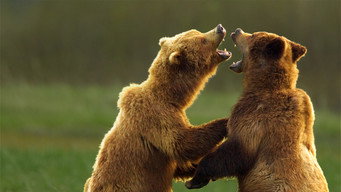 #7 Deadly Instincts