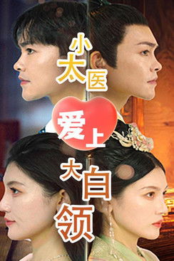 小太医爱上大白领 poster