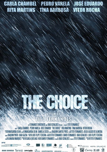 Cartell de A Escolha