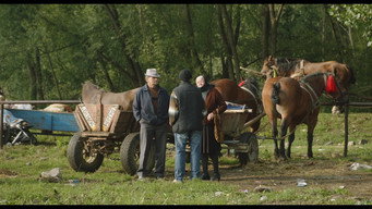 #22 У пошуках Клезмерів