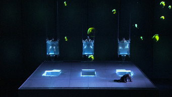 Das Rheingold (2007)