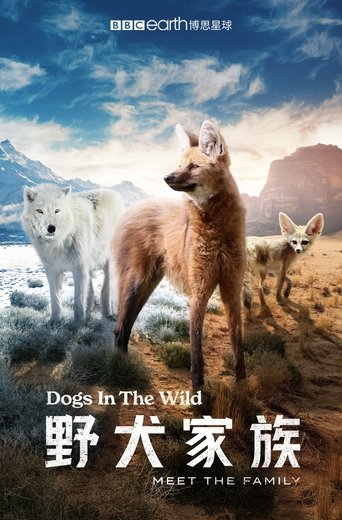 野犬家族
