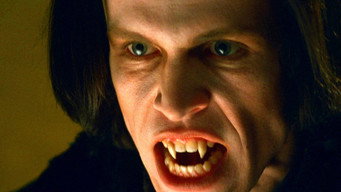 #19 Vampire Journals