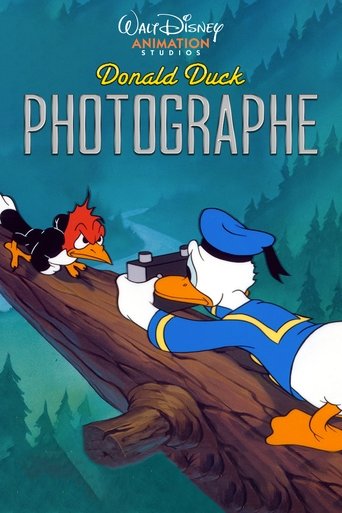 Donald Photographe (1941)