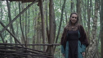 Vikings Blood Lust